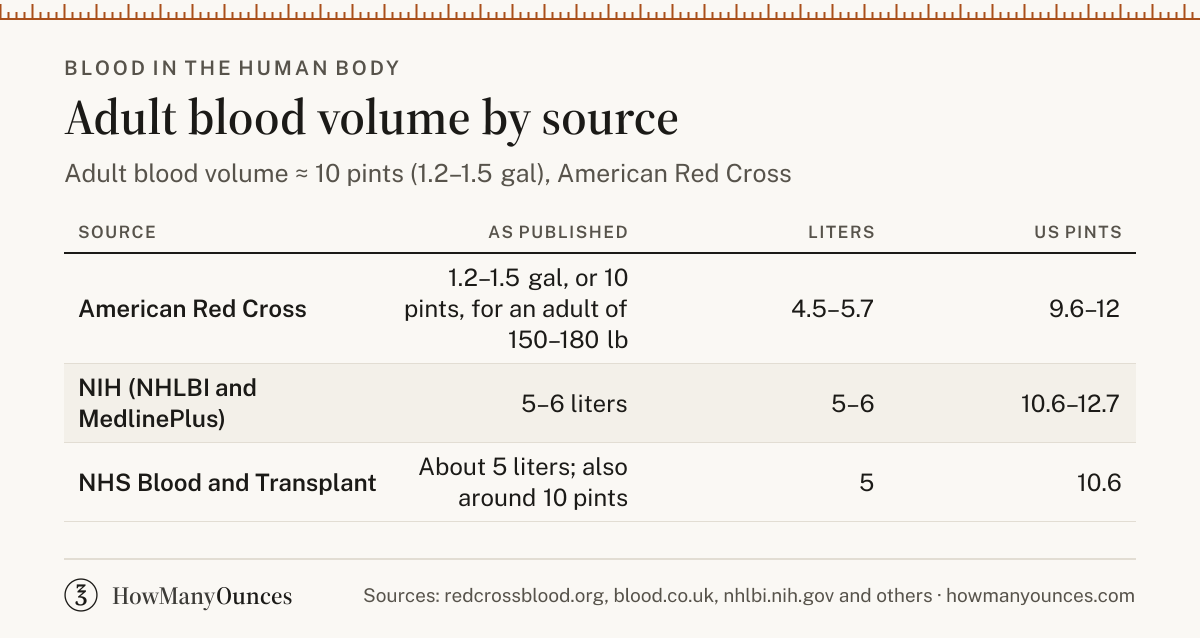 How Many Pints of Blood in the Body - US & UK Pints