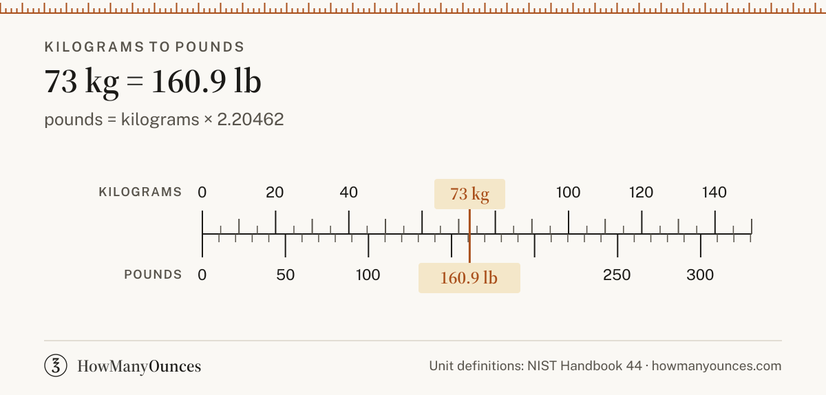 73 kg to Pounds - How Many Lbs in 73 kg